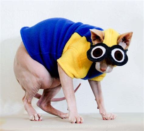 Minion Pet Costume Despicable Me Coverall and Hat by SimplySphynx Minion Halloween Costumes, Pet ...