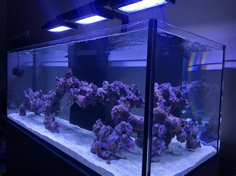 Large Build - WATERBOX AQUARIUMS REEF PRO 180.5 BUILD THREAD | Page 10 | REEF2REEF Saltwater and ...