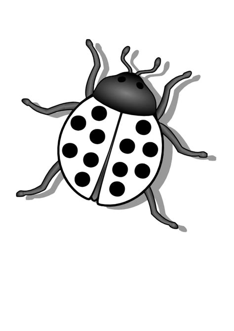 Black Ladybug Clipart: Adding a Touch of Whimsy to Your Designs