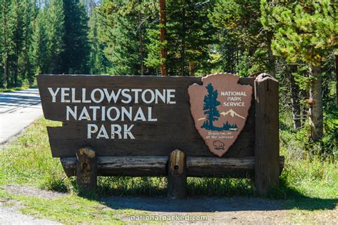 Yellowstone East Entrance 2024 - Linda Paulita