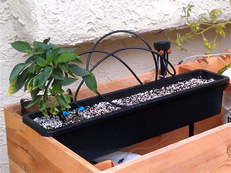 A Simple Hydroponic Drip System DIY