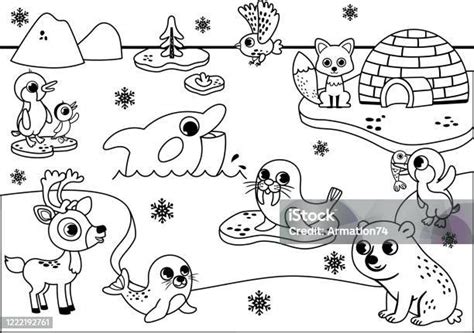 Free Arctic Animals Coloring Pages