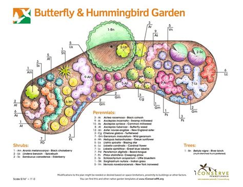 Butterfly garden using native plants | Hummingbird garden, Butterfly ...