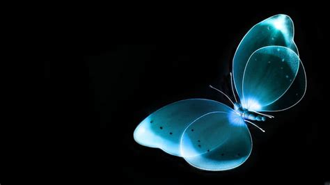 Blue Butterfly Abstract, HD wallpaper | Peakpx