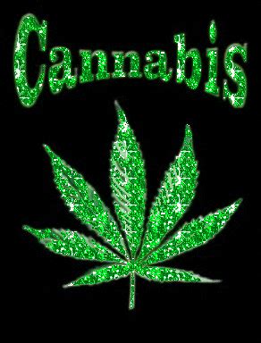 Marijuana GIF - Find & Share on GIPHY