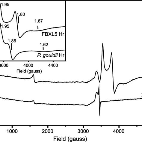 Crystal structure of FBXL5 hemerythrin domain. A , ribbon... | Download Scientific Diagram