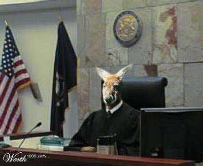 Report on Conditions: Kangaroo Court