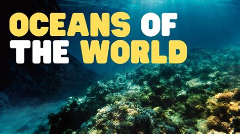 Oceans of the World for Kids | Learn all about the 5 Oceans of the Earth