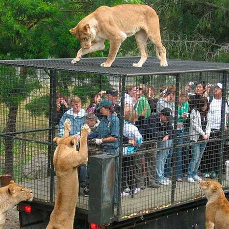 An interesting sight of Lehe Ledu Wildlife Zoo from Chongqing City of ...