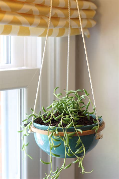 Hanging Succulents – How to Make a Hanging Succulent Planter | Hanging ...