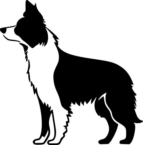 Border Collie - Black and White Isolated Icon - Vector illustration ...