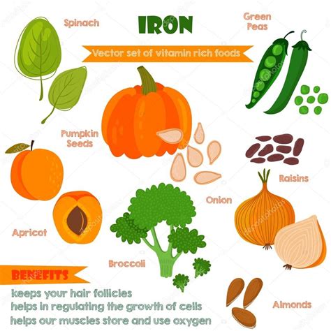 Vitamins and Minerals foods Illustrator set 4.Vector set of vita Stock ...