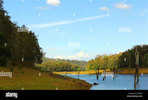 Thekkady, Periyar national park, Kerala, India Stock Photo - Alamy