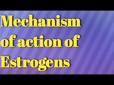 Mechanism Of Action Of Estrogen - YouTube