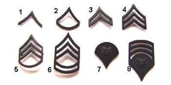 US army pin rank badges - pairs - Surplus and Outdoors