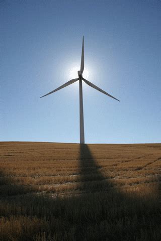 Windmill GIF - Find & Share on GIPHY