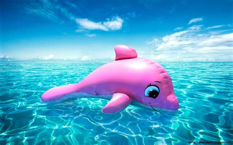 Baby Amazon Pink River Dolphin | Amazing Wallpapers