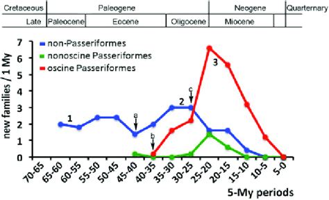 The diversification of oscine passerine families (red) contrasts with ...