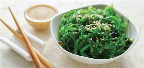 Seaweed Edible Types | Top 40 List - Seaweeding Algae & Seaweed Growing