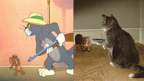 Top 7 "Tom and Jerry" Characters In Real Life - Endless Awesome