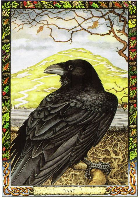 The Raven Symbolism | Celtic Raven | Order of Bards, Ovates & Druids