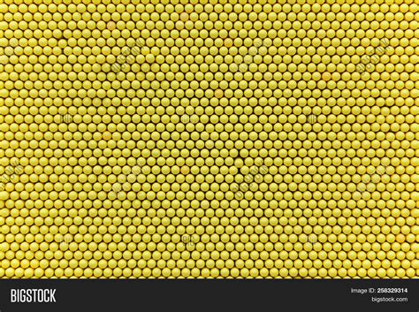 Yellow Circle Pattern Image & Photo (Free Trial) | Bigstock