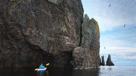 Trinity Bay, Newfoundland: A Snapshot - Seth K. Hughes