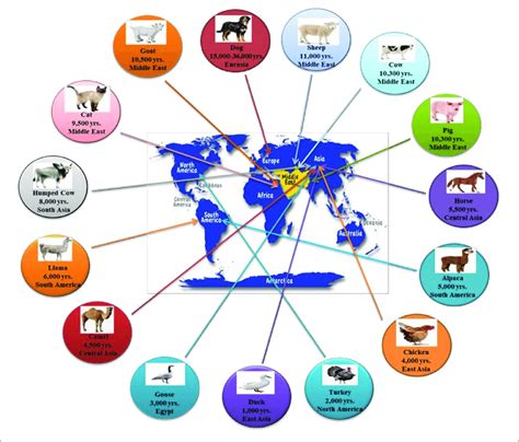 | The timeline of animal domestication (adapted from Zeder, 2008). | Download Scientific Diagram