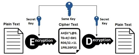 What are Different Types of Cryptography? - Shiksha Online