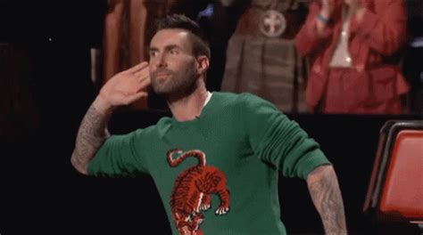 Adam Levine The Voice GIF - Adam Levine The Voice Do You Hear That ...