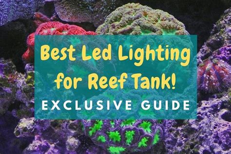 33+ Best Led Lighting for Reef Tank (2021 Top picks & reviews)