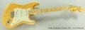 1972 Fender Stratocaster Natural Finish
