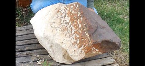 Monster Meteorite Found in Texas - Universe Today