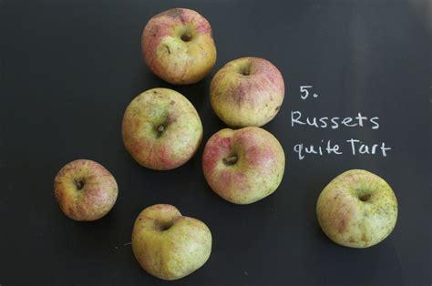 Cubit's Organic Living: Heirloom Apple Orchard Identification Project