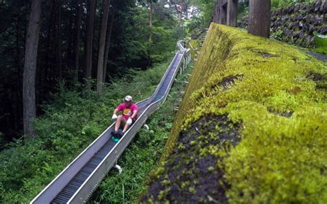 Japan’s longest roller slide isn’t for the faint of heart | Stars and ...