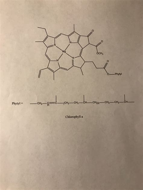 Solved Given below are the structures of beta-carotene and | Chegg.com