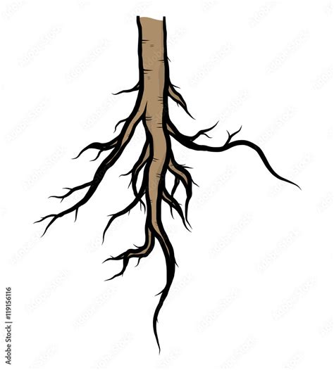 tree root / cartoon vector and illustration, hand drawn style, isolated ...