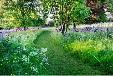 Landscape on a Budget: 10 Ideas for Mown Grass Paths - Gardenista