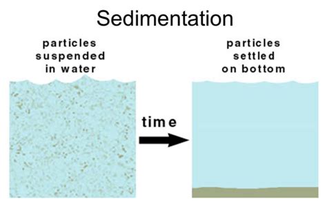 SEDIMENTATION - Definition, Principle, Process and Examples - CBSE ...