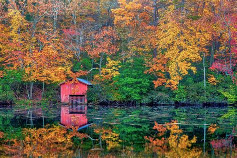 Some of the most beautiful places to see fall foliage in the South