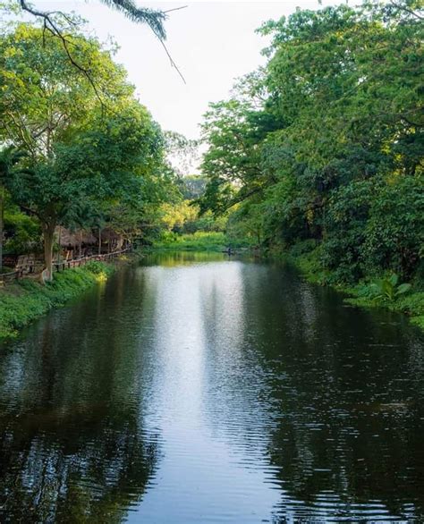 La Mesa Ecopark is a breath of fresh air in the city, accepts only 100 guests a day • PhilSTAR Life