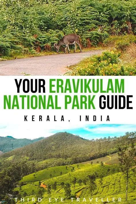 ERAVIKULAM NATIONAL PARK: 15 ESSENTIAL TIPS YOU NEED TO KNOW BEFORE ...