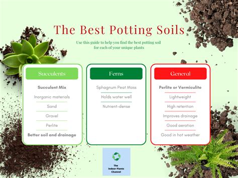 What Is The Best Potting Soil For Indoor Plants