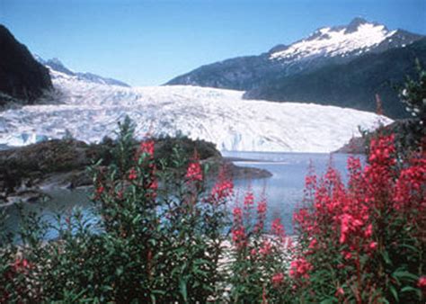 » Mendenhall Glacier & Wildlife Quest