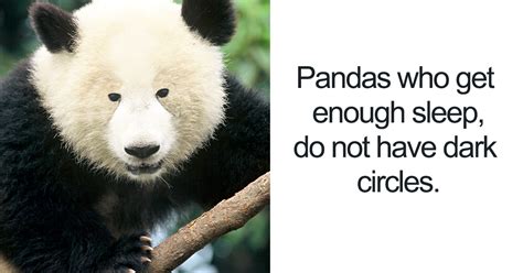 15+ Unbelievable Facts That Are Actually 100% True | Bored Panda