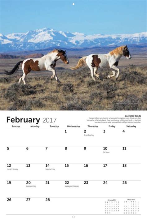 American Wild Horse Preservation 2017 Calendar Fundraising