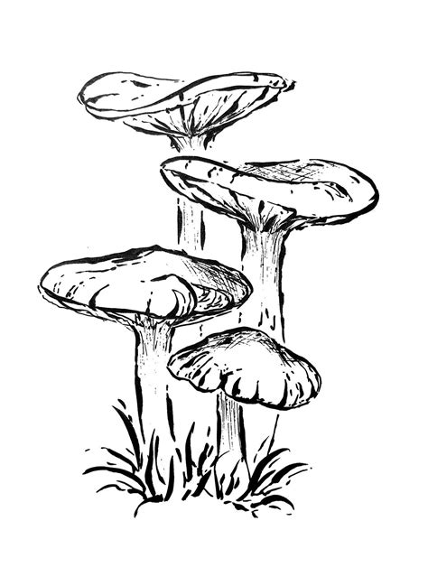 Art Drawings Sketches, Pencil Drawings, Cute Drawings, Mushroom Drawing, Mushroom Art, Art Du ...