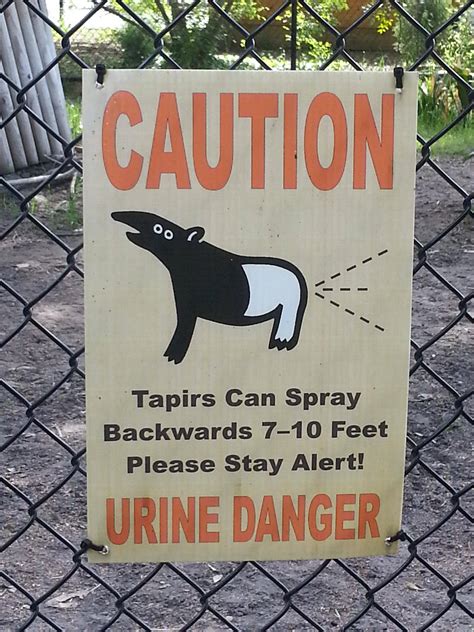 12 Funny Signs at Zoo! | Beware of Birds