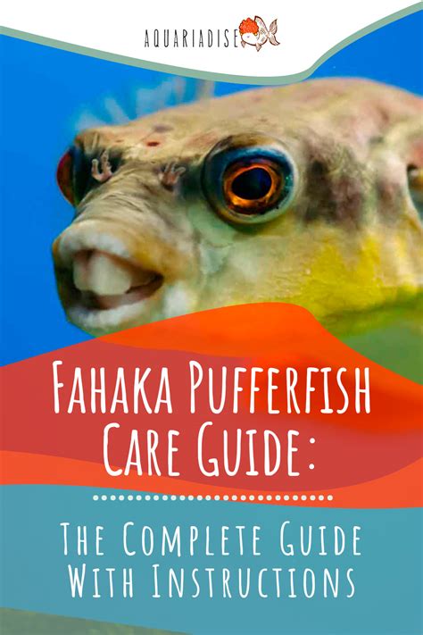 Fahaka Pufferfish (Tetraodon Lineatus) Care Sheet