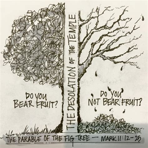 Mark 11:12-25 Parable of the fig tree. God uprooted the tree because it was hindering other ...